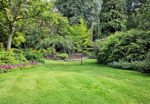 Optimiser l'expérience du jardin à Nivollet-Montgriffon